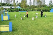 Noble Pet Resorts  Shanghai