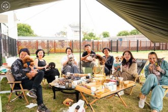 BuddyDog Training & Boarding Shanghai